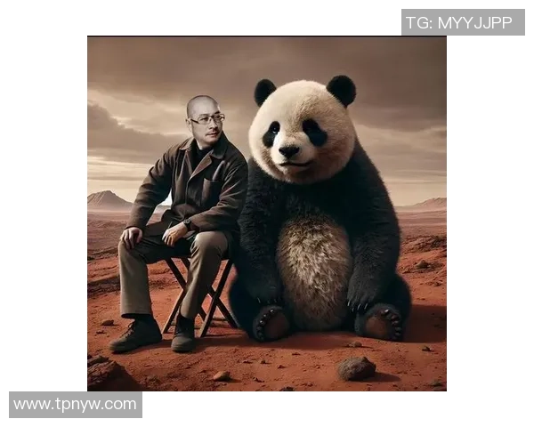 提升熊猫体育用户体验的创新策略与实践探索 提升熊猫体育用户体验的创新策略与实践探索