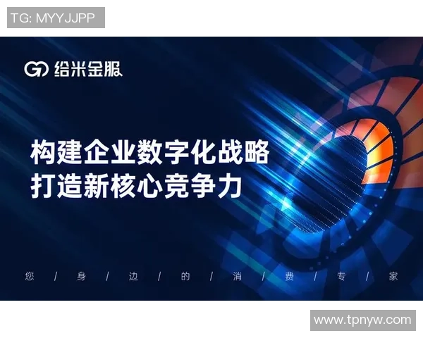 巅峰国际客户服务创新模式探索与实践提升企业竞争力的全新路径