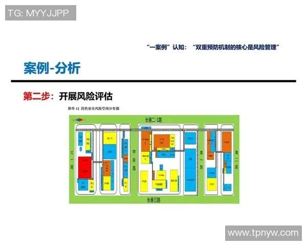 巅峰国际风险管理框架在全球经济环境中的应用与挑战分析