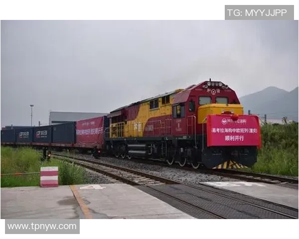 中欧数据跨境流通新机遇探讨与zoty平台的创新实践分析