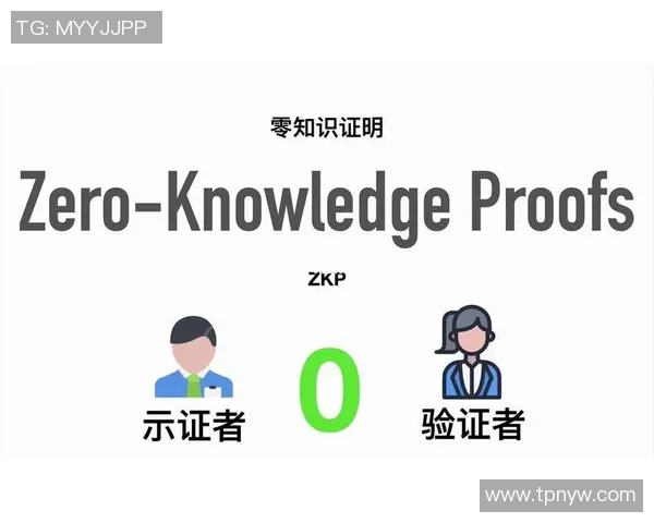 探索沐鸣2零知识证明系统的应用与未来发展趋势 探索沐鸣2零知识证明系统的应用与未来发展趋势