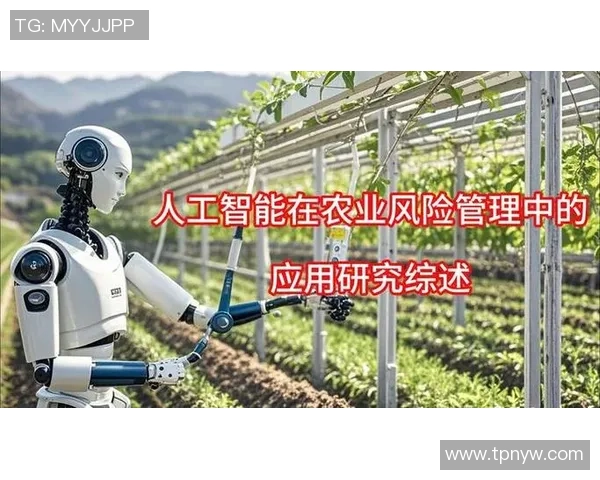 红桃国际鲁棒性AI系统助力智能决策与风险管理的创新探索与实践