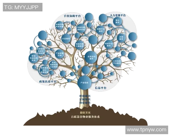 聚焦用户需求探索焦点娱乐JTBD理论在产品定义中的应用与实践 聚焦用户需求探索焦点娱乐JTBD理论在产品定义中的应用与实践
